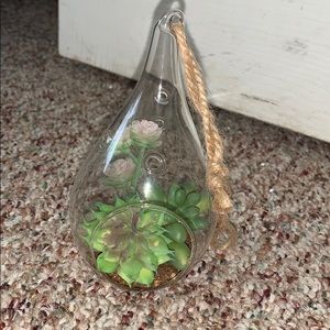 Hanging succulent (fake)
